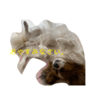 パピヨン アリスのほざき（個別スタンプ：4）