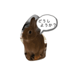 うさぎのモカちゃんスタンプpart6（個別スタンプ：1）