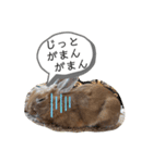 うさぎのモカちゃんスタンプpart6（個別スタンプ：6）