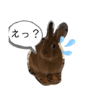 うさぎのモカちゃんスタンプpart6（個別スタンプ：7）