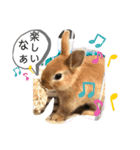 うさぎのモカちゃんスタンプpart6（個別スタンプ：8）