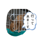 うさぎのモカちゃんスタンプpart6（個別スタンプ：9）