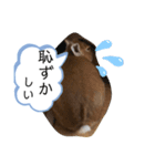 うさぎのモカちゃんスタンプpart6（個別スタンプ：10）