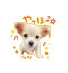ベストレン（個別スタンプ：7）