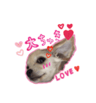 ベストレン（個別スタンプ：17）