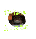 トカゲーズに言わせるスタンプ（個別スタンプ：9）