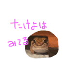トカゲーズに言わせるスタンプ（個別スタンプ：14）