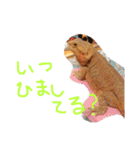 トカゲーズに言わせるスタンプ（個別スタンプ：16）