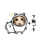 ハート猫の激かわスタンプ②（個別スタンプ：6）