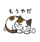 みけねこ便り3（個別スタンプ：24）