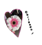 bicoo（個別スタンプ：4）