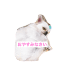 tomoyona2020（個別スタンプ：7）