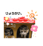 ひめ＆める のスタンプ（個別スタンプ：8）