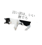 ツン時々デレ（個別スタンプ：1）