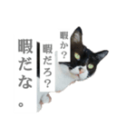 ツン時々デレ（個別スタンプ：6）