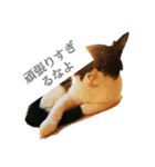 ツン時々デレ（個別スタンプ：7）