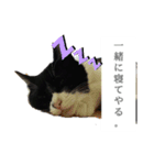 ツン時々デレ（個別スタンプ：9）