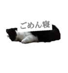 ツン時々デレ（個別スタンプ：10）