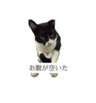 ツン時々デレ（個別スタンプ：13）