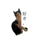 ツン時々デレ（個別スタンプ：15）