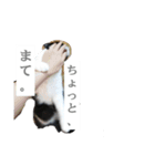 ツン時々デレ（個別スタンプ：16）