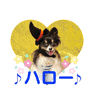 パピジャニのリンちゃん part2（個別スタンプ：2）