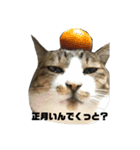 おれ ちびすけ(北浦弁)（個別スタンプ：17）