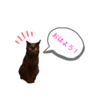 黒猫あいちゃん（個別スタンプ：4）
