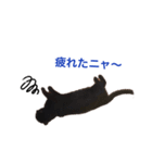 黒猫あいちゃん（個別スタンプ：7）