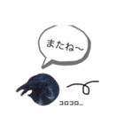 黒猫あいちゃん（個別スタンプ：16）