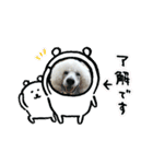 キキジジスタンプ（個別スタンプ：3）
