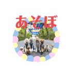 キキジジスタンプ（個別スタンプ：12）