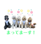 キキジジスタンプ（個別スタンプ：14）