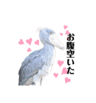 鳥さんたちのご挨拶（個別スタンプ：19）
