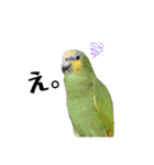 鳥さんたちのご挨拶（個別スタンプ：20）