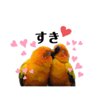鳥さんたちのご挨拶（個別スタンプ：25）