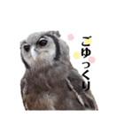 鳥さんたちのご挨拶（個別スタンプ：28）