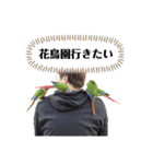 鳥さんたちのご挨拶（個別スタンプ：30）