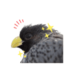 鳥さんたちのご挨拶（個別スタンプ：32）