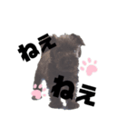 うちのお犬さん！（個別スタンプ：5）