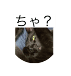 オマチーニョのスタンプ①（個別スタンプ：1）