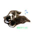 ハクメロ（個別スタンプ：4）