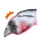 ハクメロ（個別スタンプ：6）
