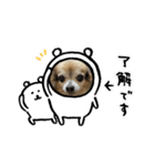 ツンデレシナモン♪（個別スタンプ：2）