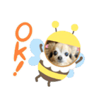 ツンデレシナモン♪（個別スタンプ：4）