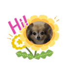 ツンデレシナモン♪（個別スタンプ：14）
