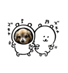 ツンデレシナモン♪（個別スタンプ：23）