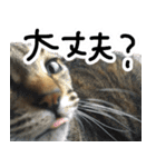 MEMEちゃんスタンプ（個別スタンプ：2）