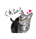 MEMEちゃんスタンプ（個別スタンプ：8）