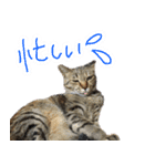 MEMEちゃんスタンプ（個別スタンプ：9）